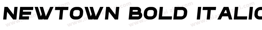 Newtown Bold Italic字体转换